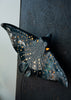 Eagle Ray: A New Ceramic Wall Light Inspired by the Ocean