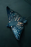 Eagle Ray Ceramic Wall Light – Handmade Ocean-Inspired Lamp
