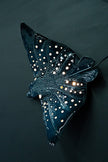 Eagle Ray Ceramic Wall Light – Handmade Ocean-Inspired Lamp