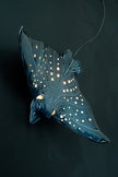 Eagle Ray Ceramic Wall Light – Handmade Ocean-Inspired Lamp