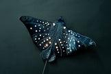 Eagle Ray Ceramic Wall Light – Handmade Ocean-Inspired Lamp