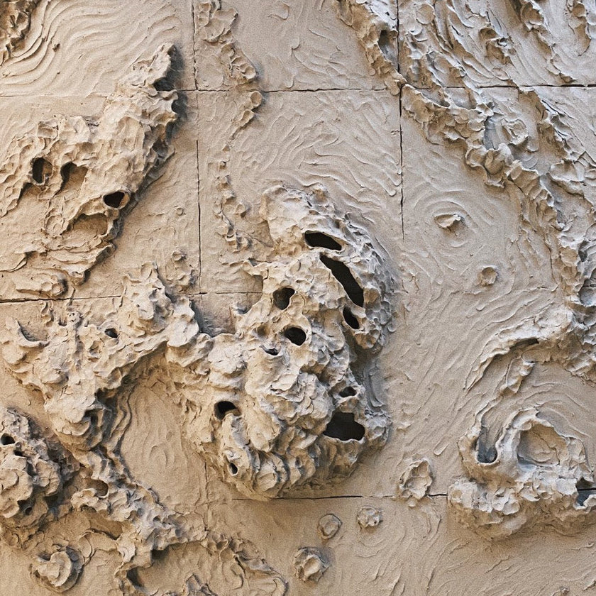 Close-up of textured beige surface with natural patterns