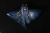 Manta Ray Ceramic Wall Lamp | Handmade Ocean-Inspired Ceramic Sconce