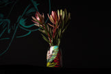 Vase with plants on a black background
